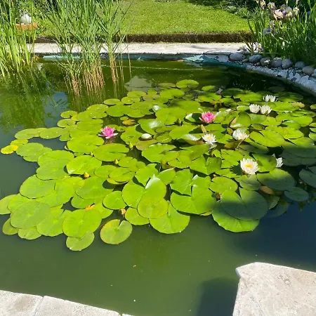 Apartamento Pension Hadanig