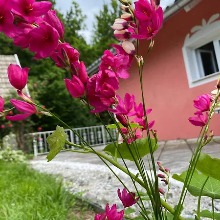 Pension Hadanig Apartamento *