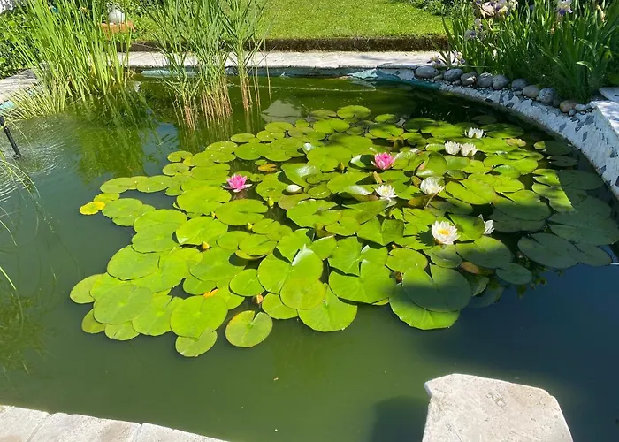 Apartamento Pension Hadanig