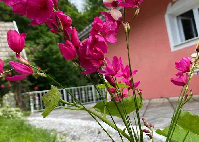 Pension Hadanig Apartament *