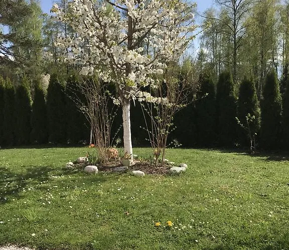 Pension Hadanig Apartament